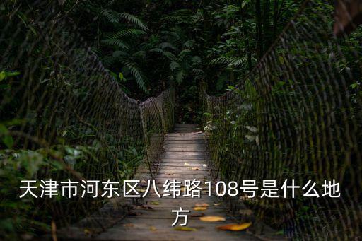 天津市河?xùn)|區(qū)八緯路108號是什么地方