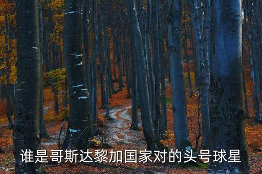 哥斯達黎加國家隊，世界杯哥斯達黎加國家隊能進4強嗎