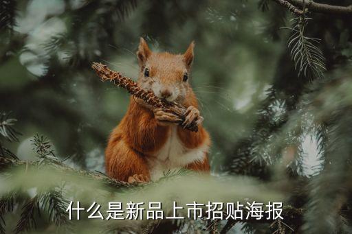 新品上市圖片海報，淘寶新品首發圖片多少尺寸