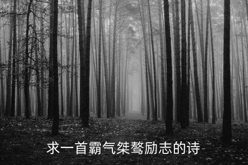 求一首霸氣桀驁勵志的詩