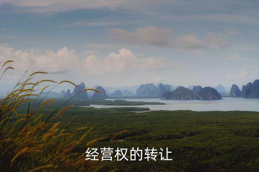 經營權轉讓，關于經營權轉讓問題