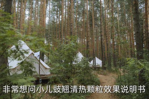 非常想問小兒豉翹清熱顆粒效果說明書