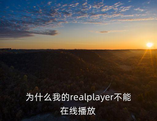 為什么我的realplayer不能在線播放