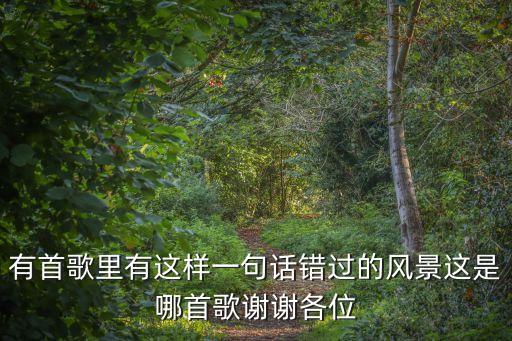 錯過的風景，錯過一道風景作文