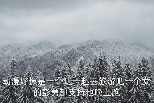 動漫好像是一個班一起去旅游吧一個女的彭勇都支持他晚上跑