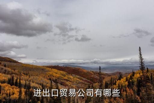 貿易企業，進出口貿易公司有哪些