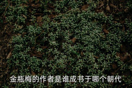 金瓶梅的作者是誰成書于哪個朝代