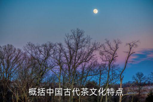 概括中國古代茶文化特點