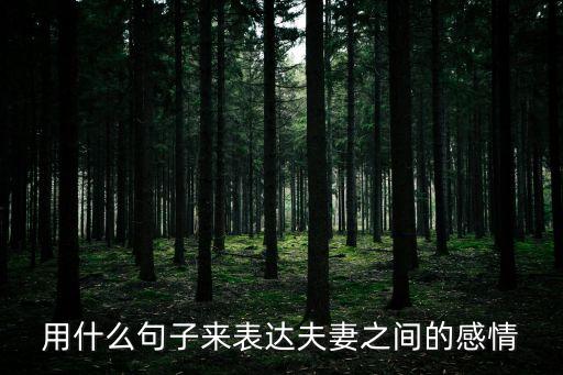 用什么句子來表達夫妻之間的感情