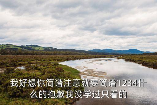 我好想你簡譜注意就要簡譜1234什么的抱歉我沒學過只看的