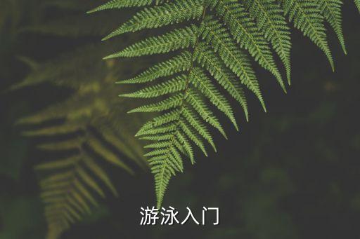 游泳入門