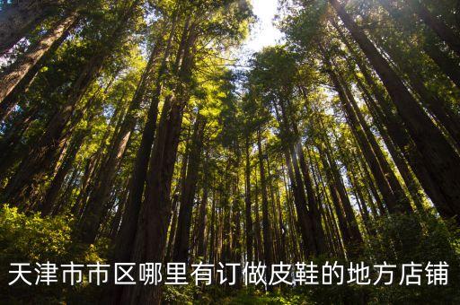 天津市定制皮鞋哪家好，天津市市區哪里有訂做皮鞋的地方店鋪
