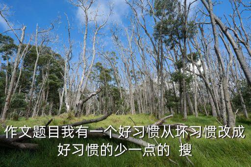 好習(xí)慣壞習(xí)慣，作文我的好習(xí)慣和我的壞習(xí)慣六百字