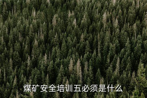 煤礦安全培訓規(guī)定，煤礦安全培訓五必須是什么