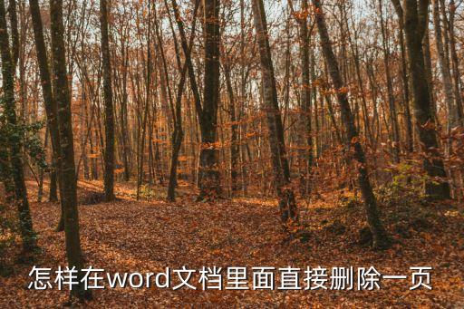 word刪除整頁，word如何整頁刪除