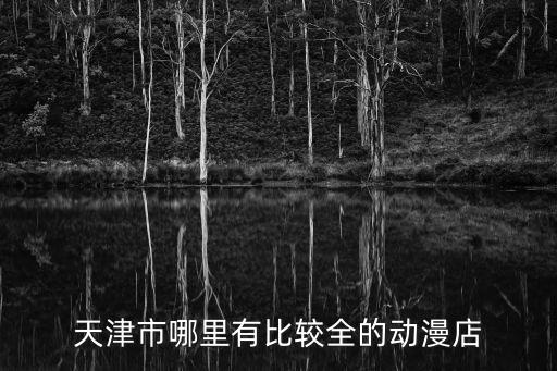 天津市哪里有比較全的動漫店