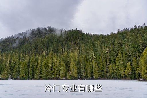 冷門專業(yè)有哪些