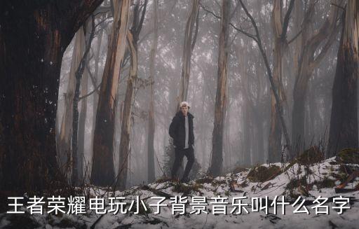 王者榮耀電玩小子背景音樂叫什么名字