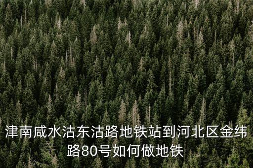津南咸水沽東沽路地鐵站到河北區(qū)金緯路80號(hào)如何做地鐵