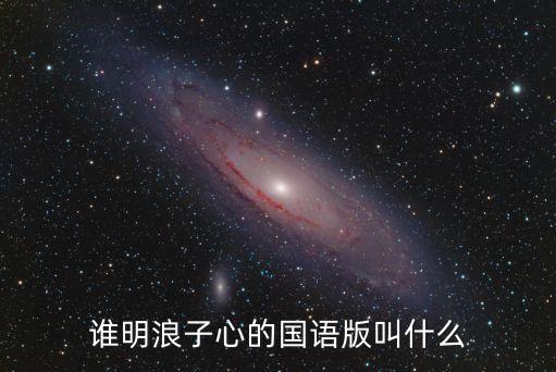 誰明浪子心的國語版叫什么