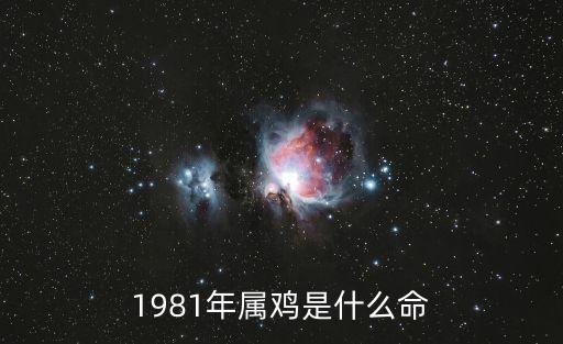 81年什么命，1981年是什么命