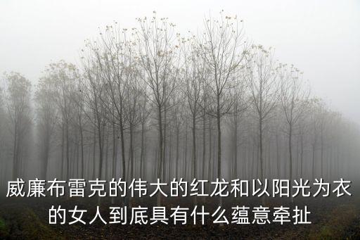 威廉布雷克的偉大的紅龍和以陽光為衣的女人到底具有什么蘊意牽扯