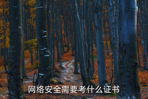 網(wǎng)絡安全需要考什么證書