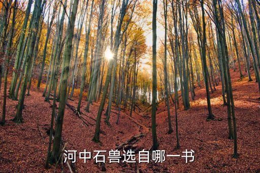 河中石獸選自，河中石獸選自哪一書