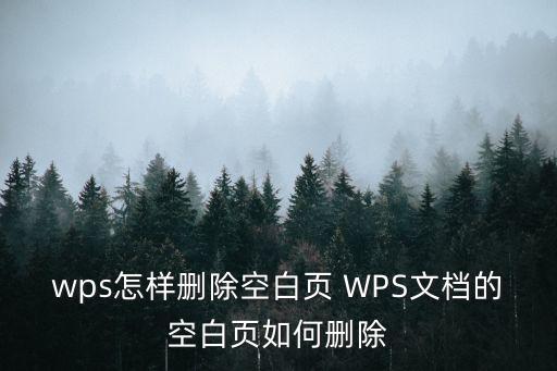 wps怎樣刪除空白頁 WPS文檔的空白頁如何刪除