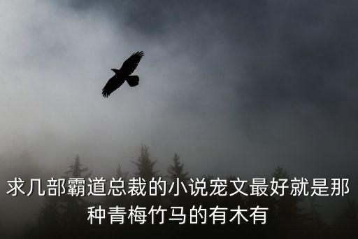 霸道總裁言情小說，求幾部霸道總裁的小說寵文最好就是那種青梅竹馬的有木有