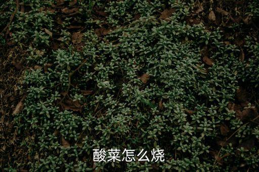 酸菜怎么燒