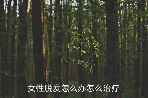 女性脫發(fā)怎么辦怎么治療