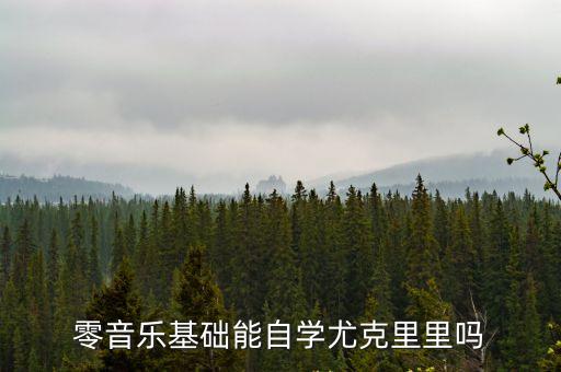 零音樂基礎能自學尤克里里嗎