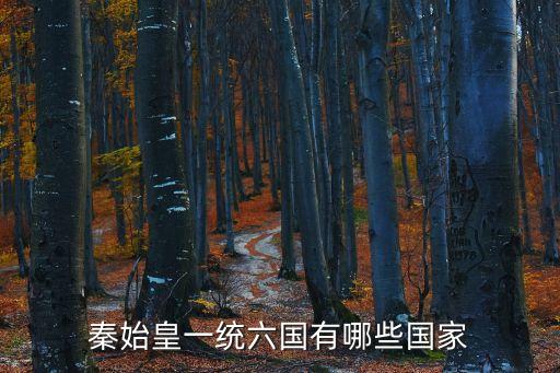 秦始皇統(tǒng)一哪六國(guó)，秦始皇統(tǒng)一了哪六國(guó)