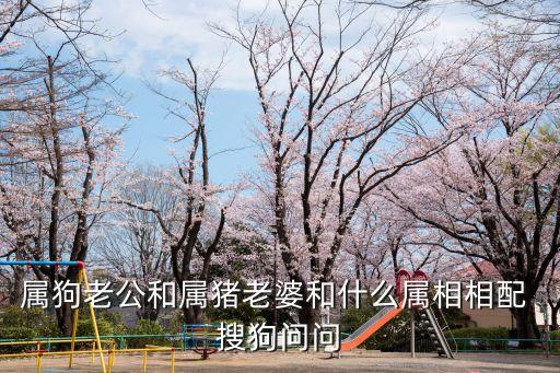 屬狗老公和屬豬老婆和什么屬相相配 搜狗問問