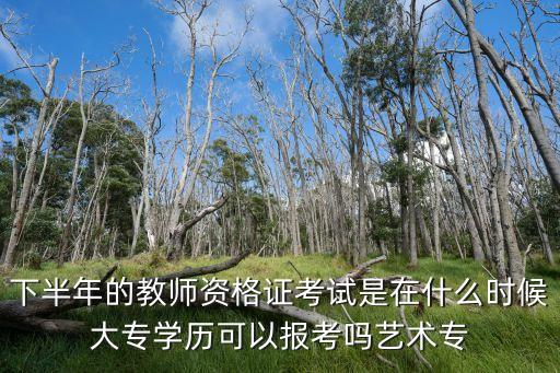 下半年的教師資格證考試是在什么時候大專學歷可以報考嗎藝術專