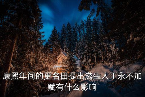 康熙年間的更名田提出滋生人丁永不加賦有什么影響