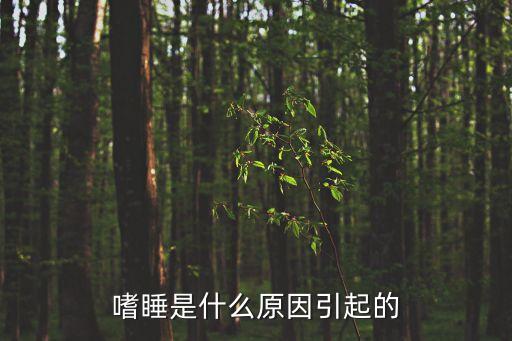 為什么會嗜睡，為什么有的人會非常嗜睡