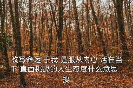 直面挑戰，改寫命運 于我 是服從內心 活在當下 直面挑戰的人生態度什么意思  搜