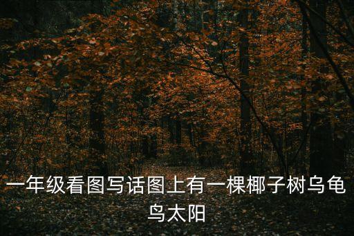 一年級(jí)看圖寫話圖上有一棵椰子樹烏龜鳥太陽