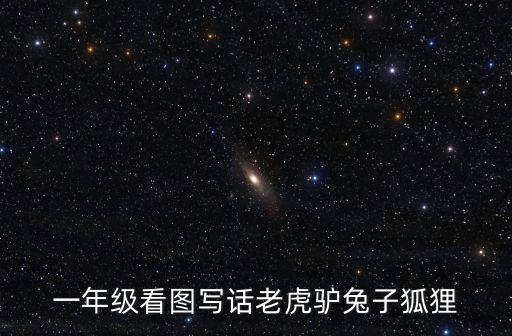 一年級看圖寫話老虎驢兔子狐貍