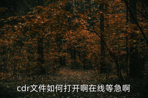 cdr文件如何打開啊在線等急啊