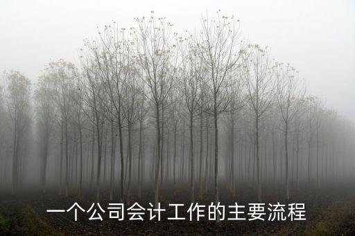 企業會計，企業財務會計是什么