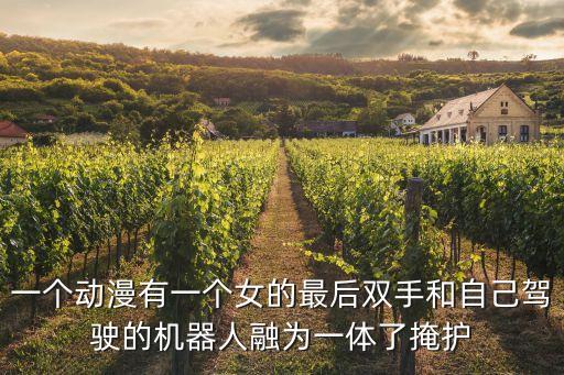 一個動漫有一個女的最后雙手和自己駕駛的機器人融為一體了掩護