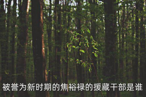 天津市第一批援藏干部名單，沈陽中考計(jì)算機(jī)加分不