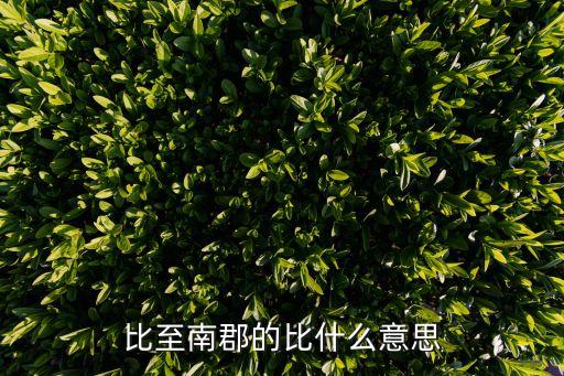 比的文言文意思，比在文言文中的意思
