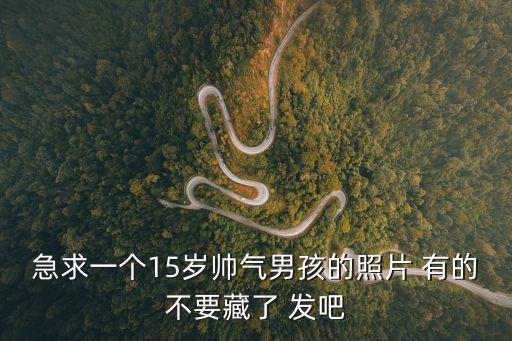 急求一個15歲帥氣男孩的照片 有的不要藏了 發(fā)吧