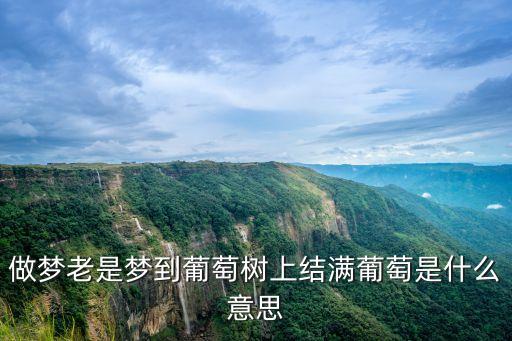 做夢(mèng)老是夢(mèng)到葡萄樹上結(jié)滿葡萄是什么意思