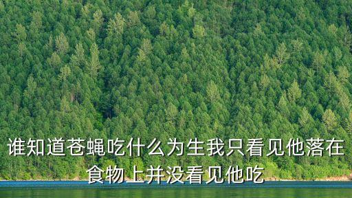 蒼蠅吃什么，蒼蠅靠吃什么生存啊