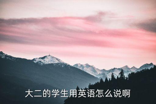 大二的學生用英語怎么說啊